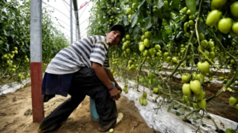 Mexicano se declara culpable en EE.UU. por explotar a jornaleros mexicanos en red criminal