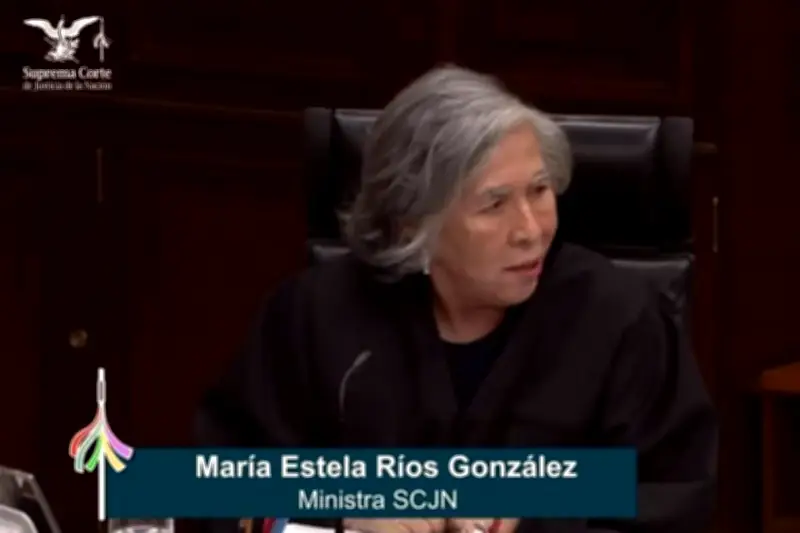 Ministra de la Corte afirma que nacidos por fertilización in vitro no pertenecen a familia