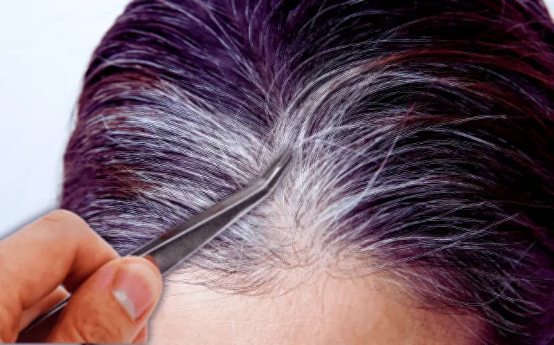 Mito desmentido: Arrancar canas no genera más, pero sí daña el folículo piloso