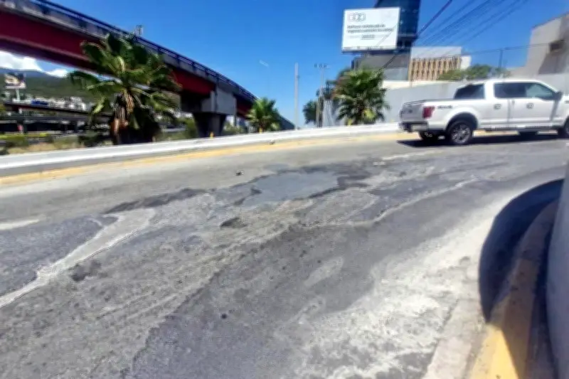 Monterrey Consultará a Ciudadanos sobre Medidas contra Grafitis y Plasta
