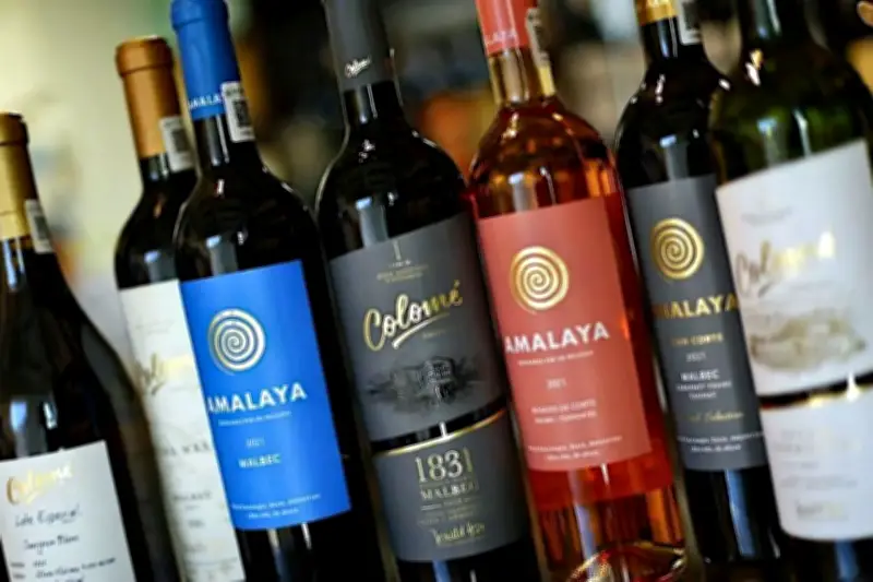 Más allá de Mendoza: la transformación de un barrio histórico en la Ciudad de México