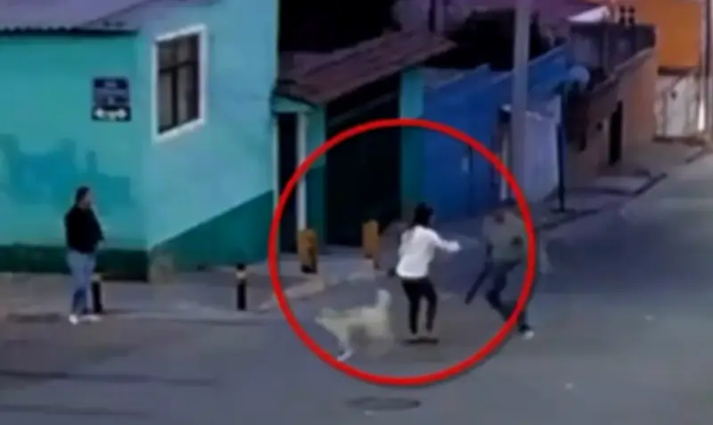 Mujer es atacada con machete en Puebla al defender perros callejeros; gobernador condena violencia