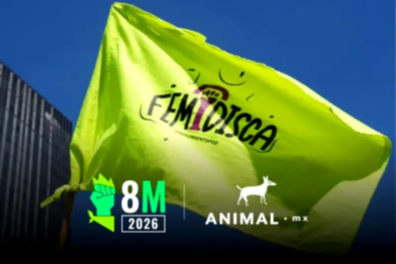 Mujeres con discapacidad enfrentan violencia sistemática en México según estudio