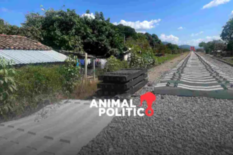 Mujeres de Chiapas denuncian desalojo violento por el Tren Interoceánico ante la FGR