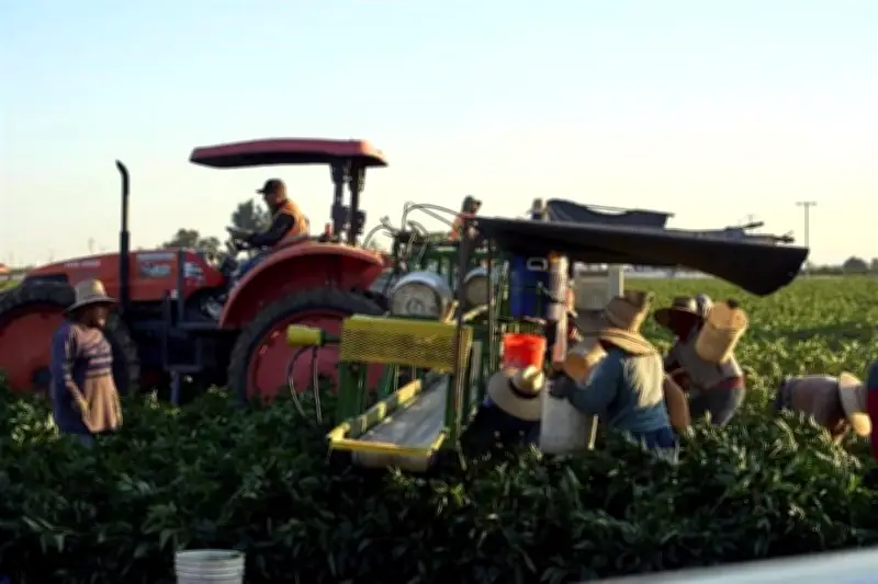 México Abandona el Top 10 Mundial de Exportadores Agroalimentarios