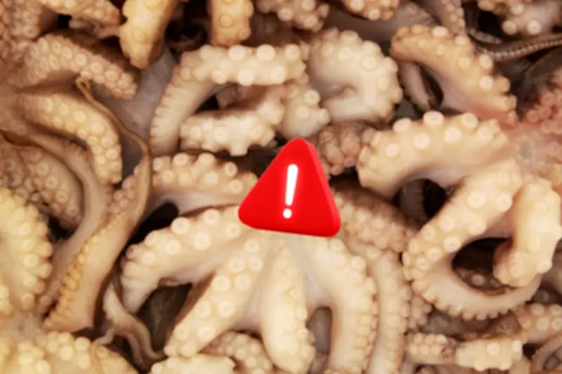 México busca prohibir las granjas de pulpos antes de que se desarrolle la industria