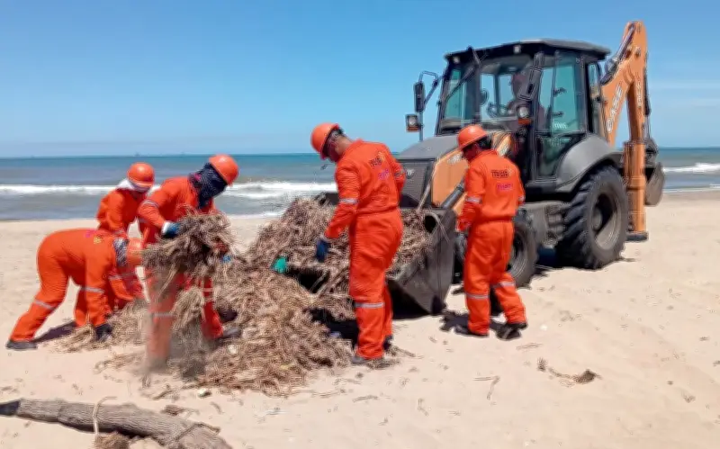México concluye contención de derrame petrolero en Golfo tras dos semanas de emergencia