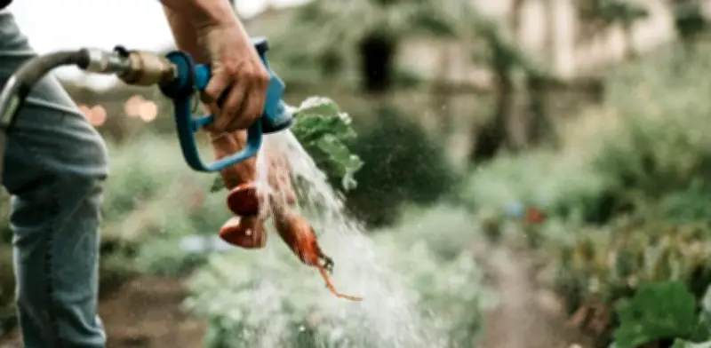 México desperdicia 40 billones de litros de agua anuales en comida que no se consume