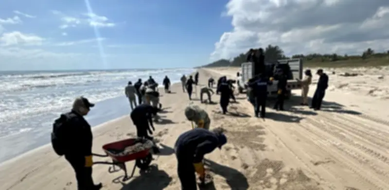 México despliega más de 2,450 elementos para combatir derrame de hidrocarburo en Golfo