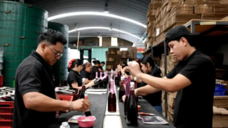 México lidera la OCDE con la tasa de desempleo más baja y empleo formal en récord histórico