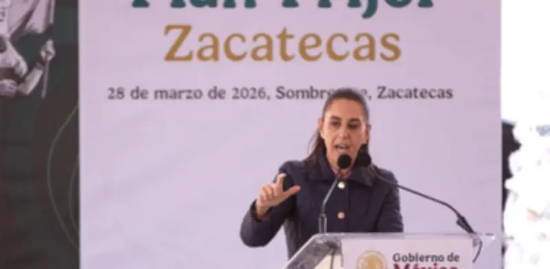 México logra autosuficiencia en frijol con Zacatecas como motor clave del Plan Frijol