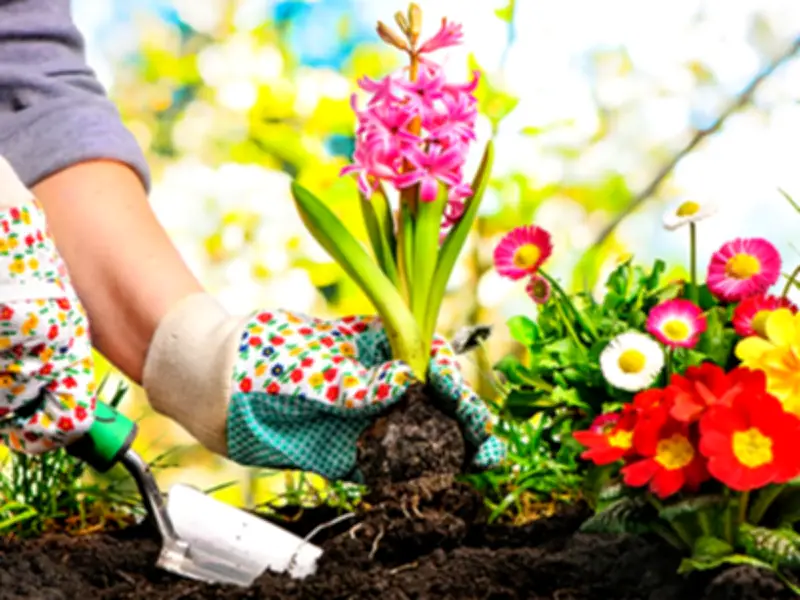 Naucalpan implementa talleres ambientales en San Francisco Chimalpa para fomento sustentable