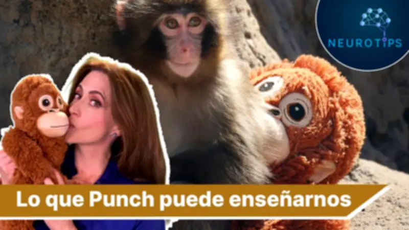 NeuroTips: Cómo hablar de violencia con tus hijos y la lección del mono Punch