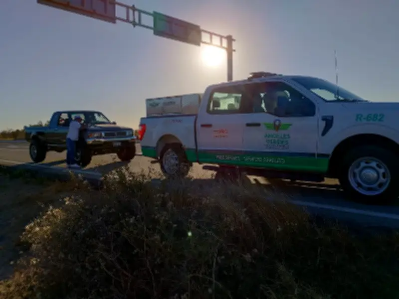 Ángeles Verdes despliega 700 elementos para Semana Santa 2026 en carreteras nacionales