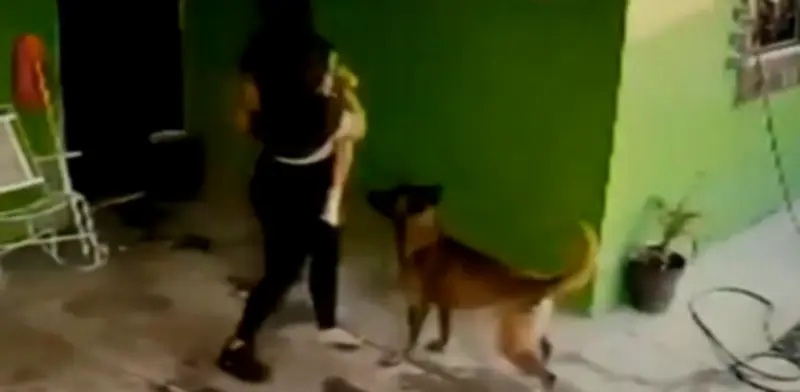 Niña de Coahuila recibe 68 puntos tras ataque de pastor belga en su hogar