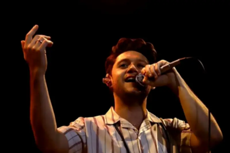 Niall Horan rinde emotivo homenaje a Liam Payne con nuevo sencillo