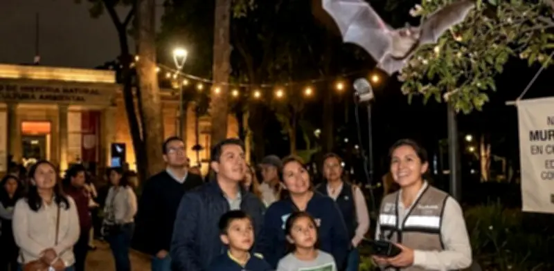 Noche de Murciélagos en Chapultepec: Descubre los Secretos de los Guardianes Nocturnos