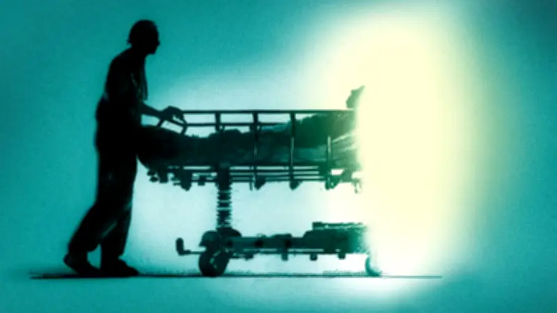 Noelia, joven parapléjica de 25 años, recibe autorización para eutanasia en España tras lucha legal