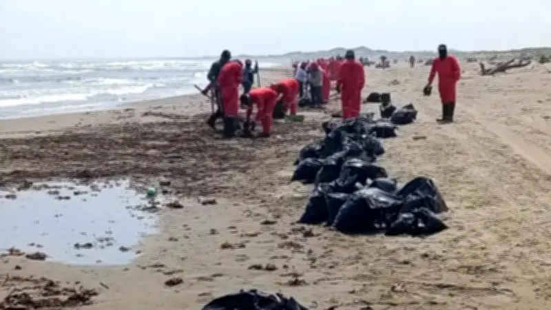 Oceana denuncia crisis de transparencia por derrame de hidrocarburos en el Golfo de México