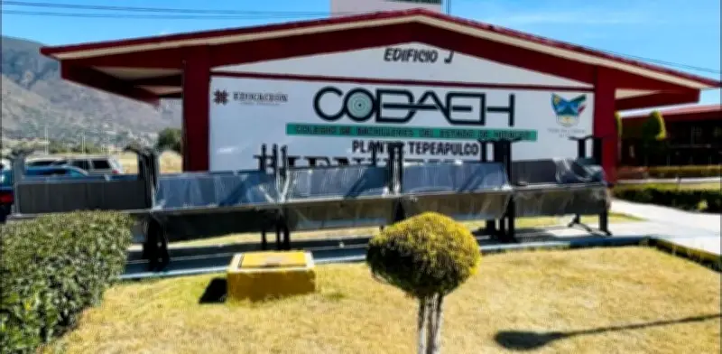 Ocho carpetas por abuso sexual en prepa de Hidalgo: investigan hechos en COBAEH