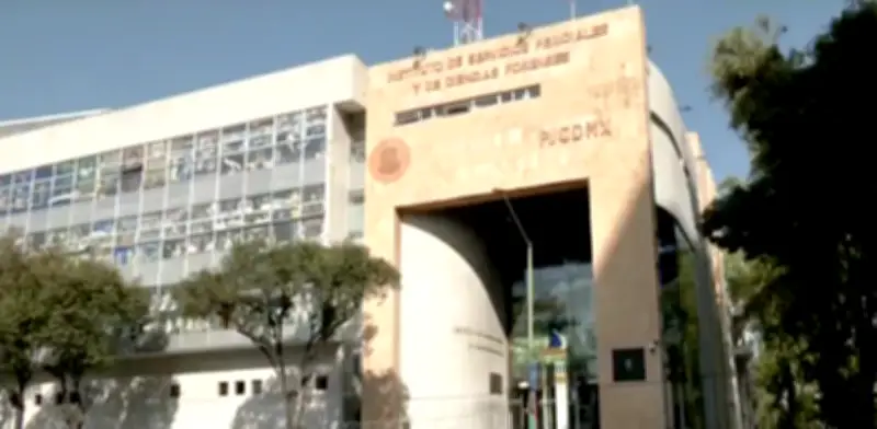 Olor a cadáver en el Incifo de CDMX por cuerpos de desaparecidos sin identificar