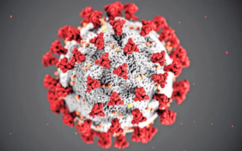OMS alerta sobre nueva variante BA.3.2 del COVID-19 con resistencia a inmunidad previa