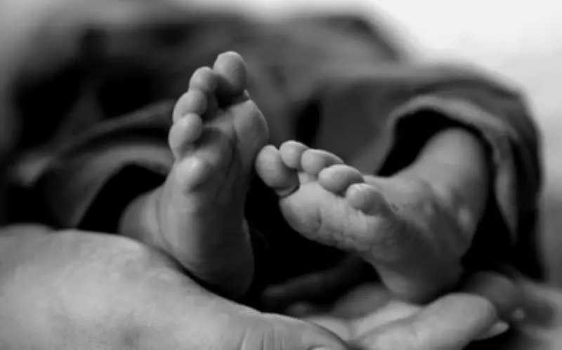 OMS revela alarmante mortalidad infantil: 4.9 millones de niños fallecieron antes de los 5 años en 2024