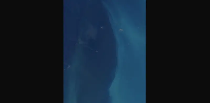 ONGs acusan a Pemex de ocultar derrame de hidrocarburos desde febrero en el Golfo