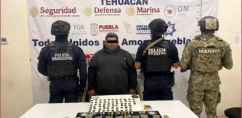 Operación Sable de la Marina: 234 detenidos en cinco estados del centro de México