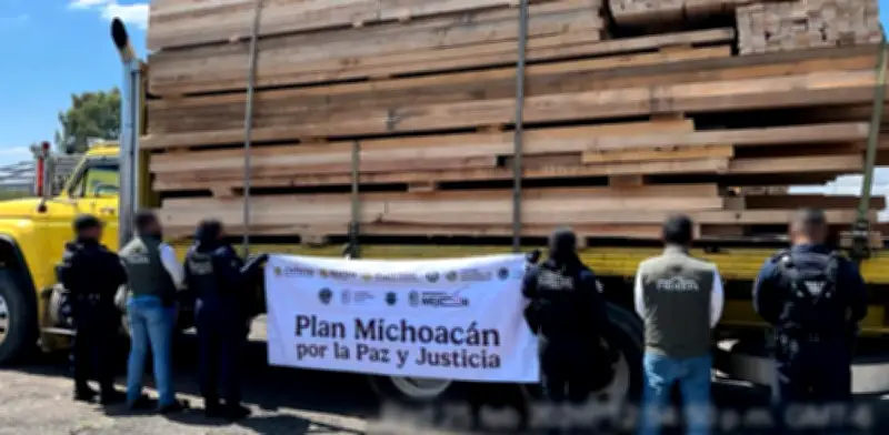 Operativo contra tala ilegal en Michoacán deja 14 detenidos y asegura madera