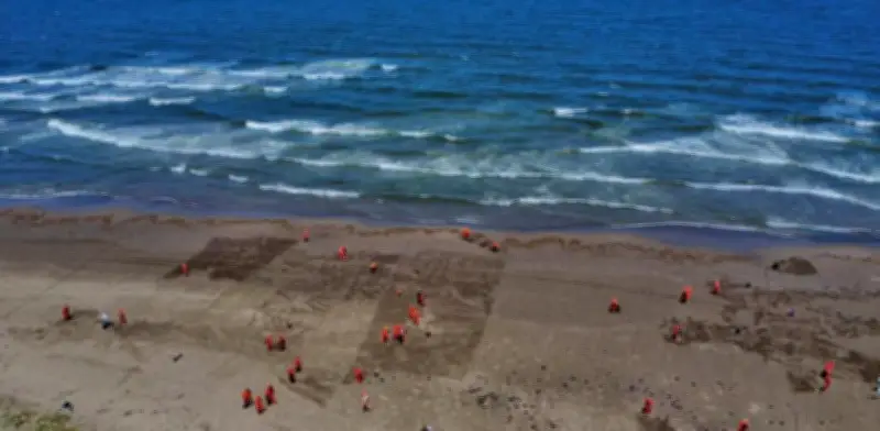 Operativo de Saneamiento en Golfo de México Recolecta 128 Toneladas de Residuos de Crudo