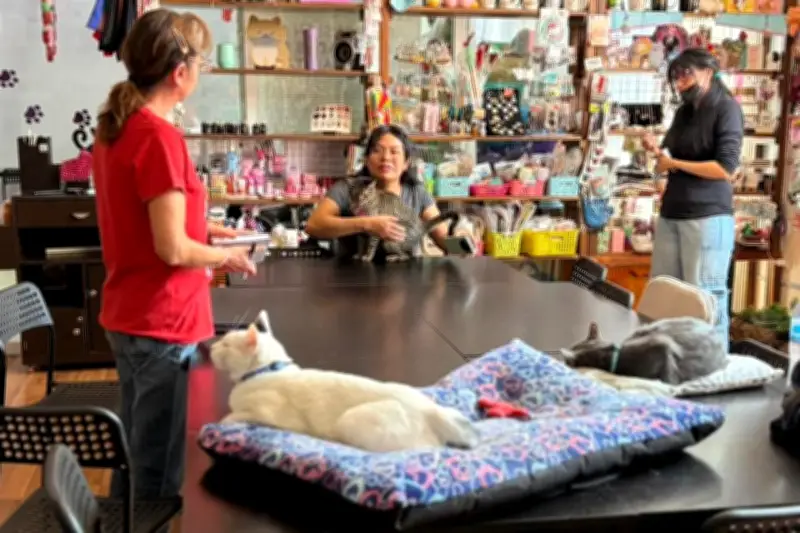 Operativos de seguridad asedian cafeterías en Michoacán, afectando a locales y clientes