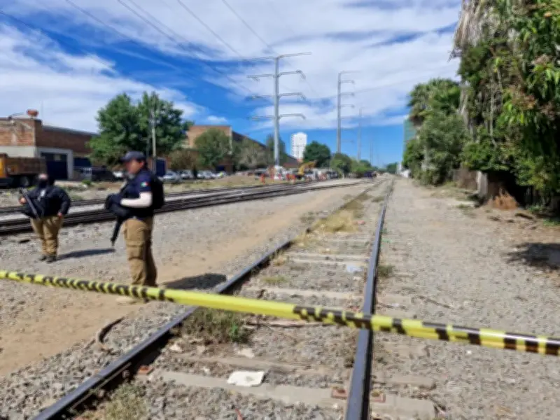 Operativos de Seguridad Nacional: Detenciones y Aseguramientos en 9 Estados