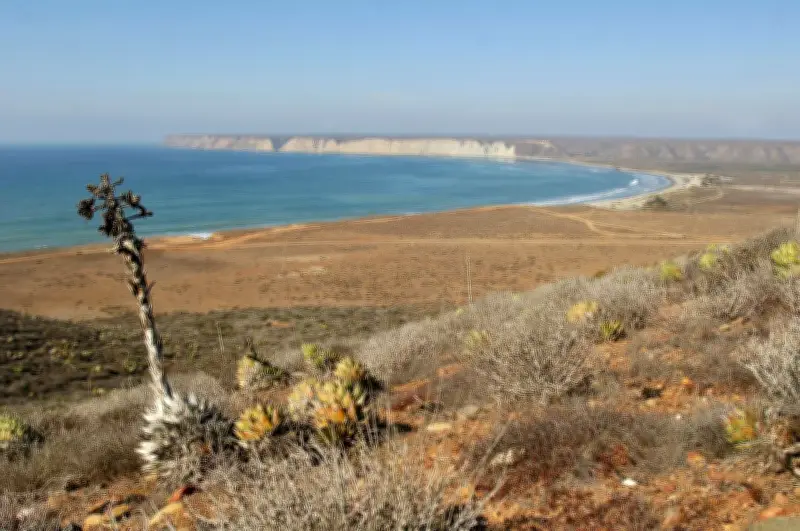 Organizaciones alertan sobre riesgos ambientales de megaproyectos de gas en Golfo de California