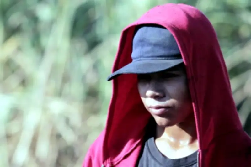 Organizaciones alzan la voz contra la explotación laboral infantil en México