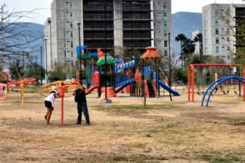 Paga Reforestación Extrema Millones a 'Todóloga' en Contrato Opaco