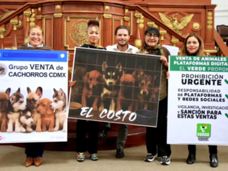Partido Verde busca prohibir venta de perros y gatos en redes sociales en CDMX