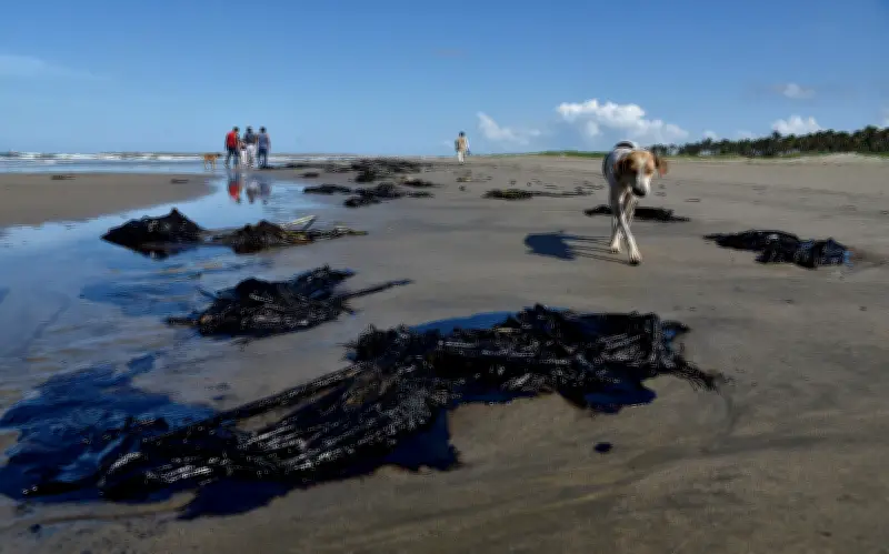 Pemex avanza lentamente en atención de riesgos ambientales: solo 28% resuelto