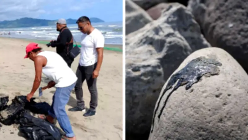 Pemex declara playas limpias para Semana Santa, pero evidencias ciudadanas muestran chapopote persistente