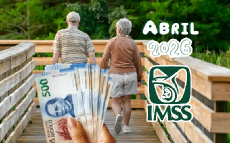 Pensión IMSS: Calendario de Pagos para Abril 2026 y el Resto del Año