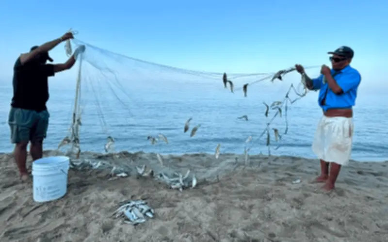 Pescadores de Puerto Vallarta retoman labores tras violencia por abatimiento de 'El Mencho'