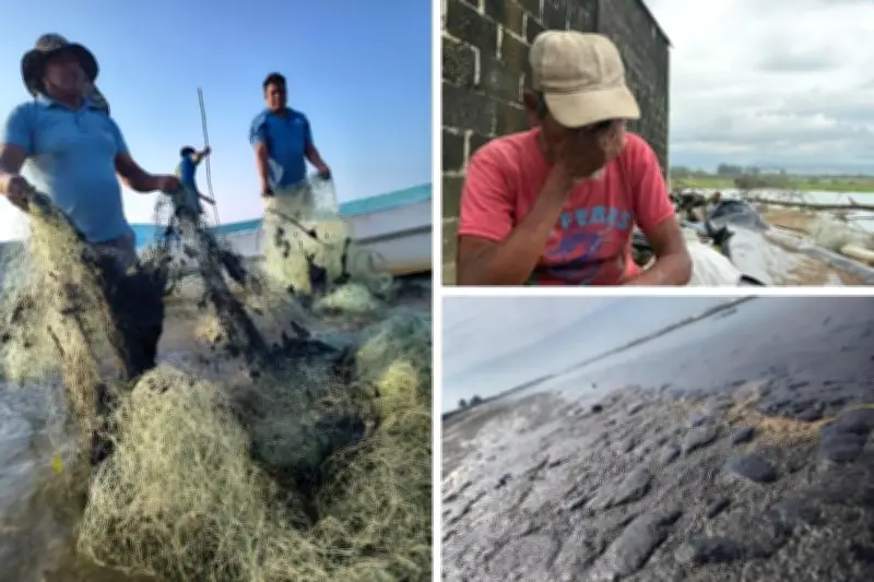 Pescadores de Sinaloa enfrentan crisis por rechazo de mercado a sus capturas