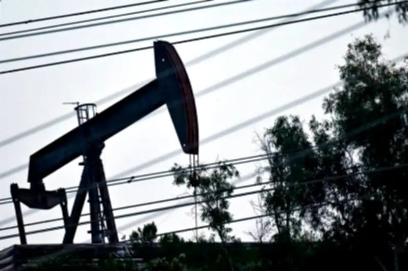 Petróleo WTI sube 5% y alcanza su máximo nivel en más de un año