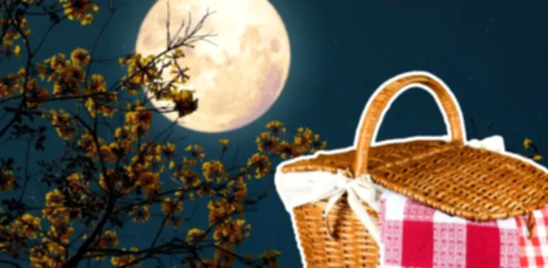 Picnic Nocturno 'Noche de Linternas' Ilumina Chapultepec con Magia y Romance