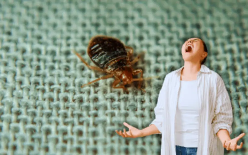 Plagas en el Hogar: Cómo Combatir Chinches, Cucarachas y Mosquitos en Temporada de Calor