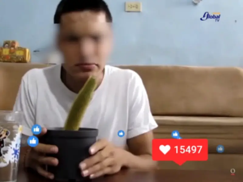 Policía Cibernética alerta sobre peligrosos retos virales que incitan a menores a comer cactus