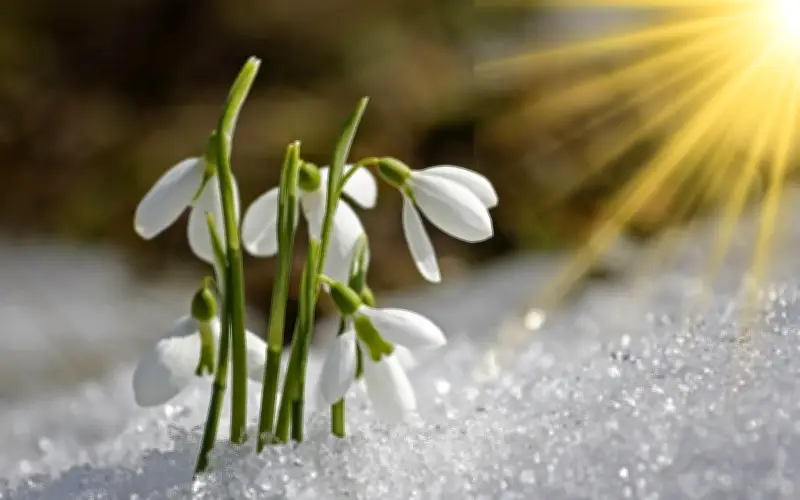¿Por qué varía la fecha del equinoccio de primavera cada año?