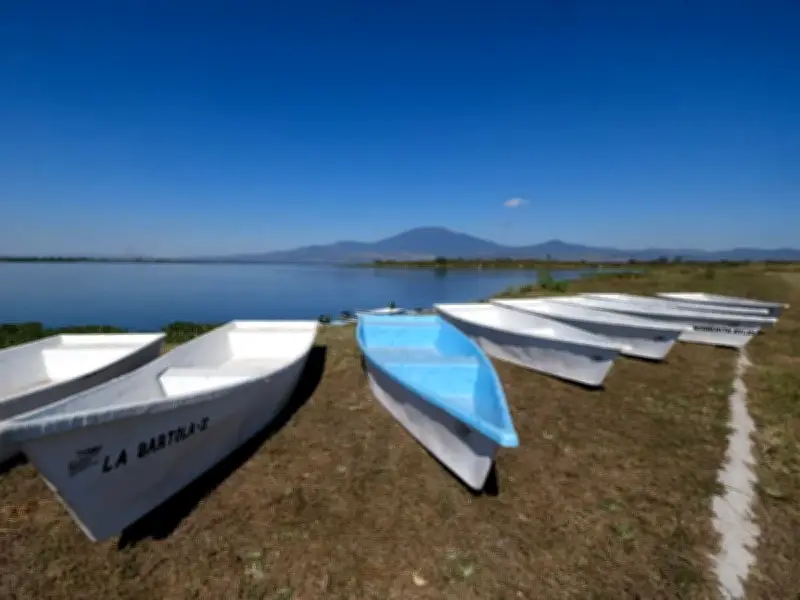 Presa La Vega en Jalisco: Contaminación por lirio acuático amenaza humedal Ramsar y turismo