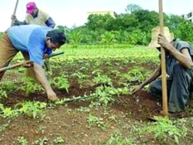 PRI impulsa reforma agraria para incluir corredores públicos como fedatarios