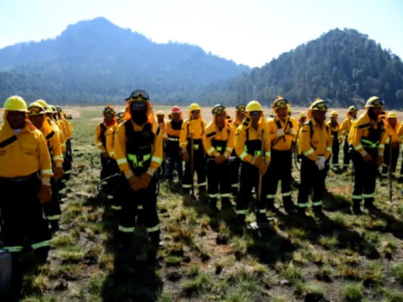 Probosque ejecuta quema controlada en Amanalco para prevenir incendios forestales en 2026